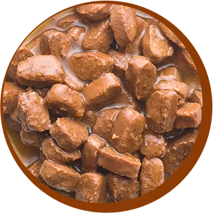 brown wet dog food