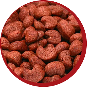 red kibble