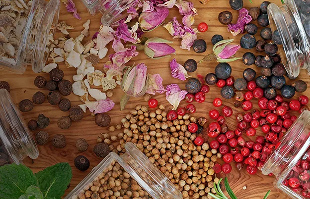 herbs and botanicals