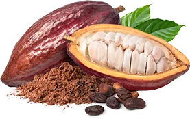 cocoa