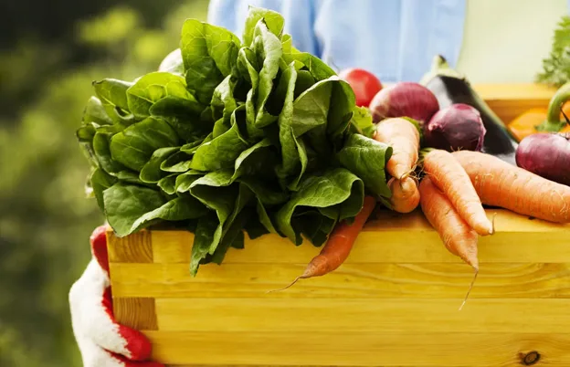 vegetables