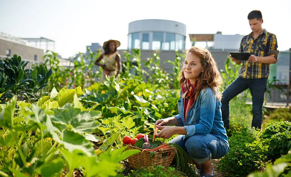 woman in community garden