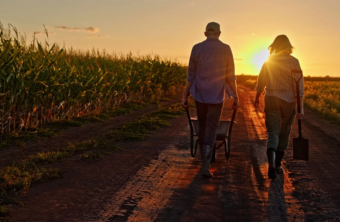 farmers harvesting crops in a field