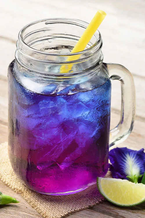 butterfly pea flower