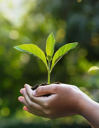 child holding a plant