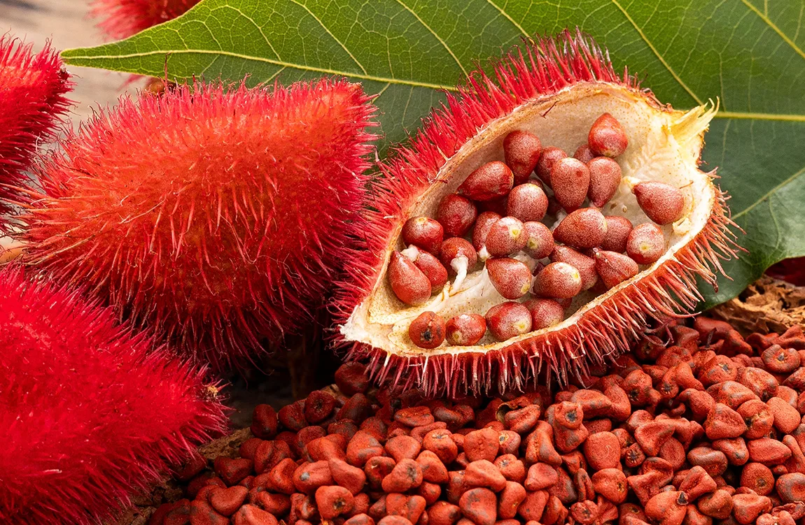 urucum do peru
