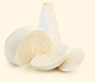 Say-Cheese-white