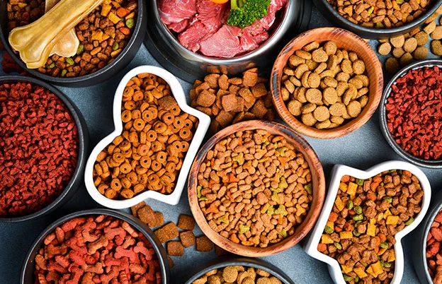 assorted dry pet food