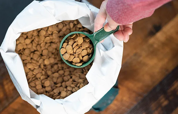 dry pet food