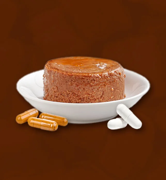 canned cat food and pills