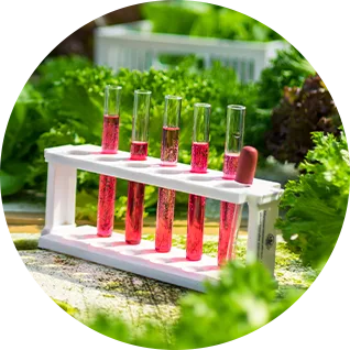 test tubes