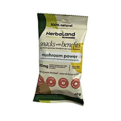 mushroom power gummies