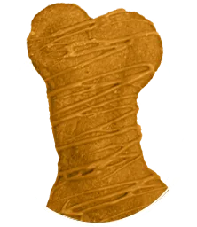 pet bone