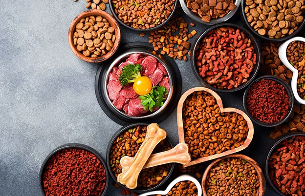 assorted dog food