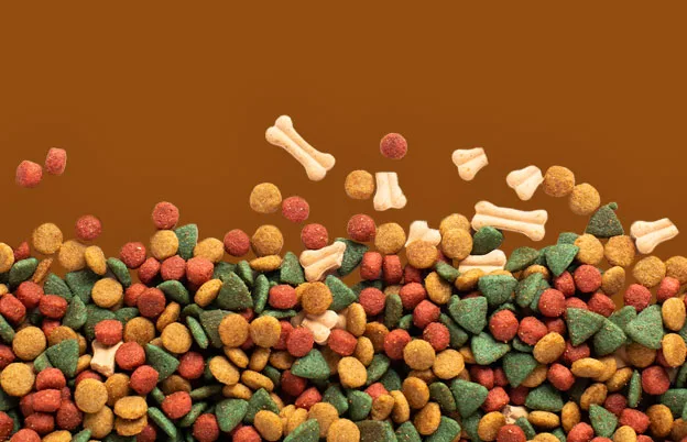 dog food