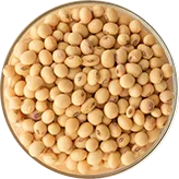 soybean