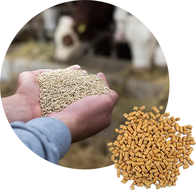 feed industry