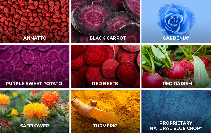 colour crops, annatto, beets, gardenia, purple sweet potato, red beets, red radish, safflower, turmeric, natural blue crops