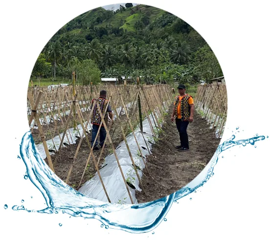 fields in southeast Asia with workers