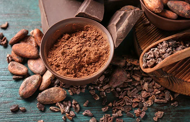 chocolate cocoa beans