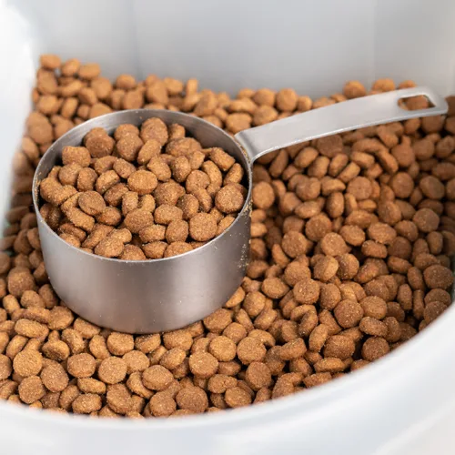 kibble container