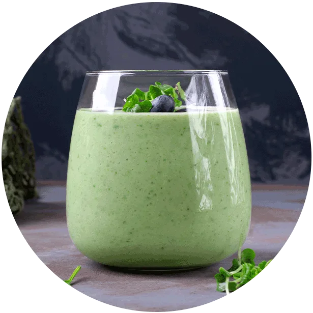 avocado smoothie