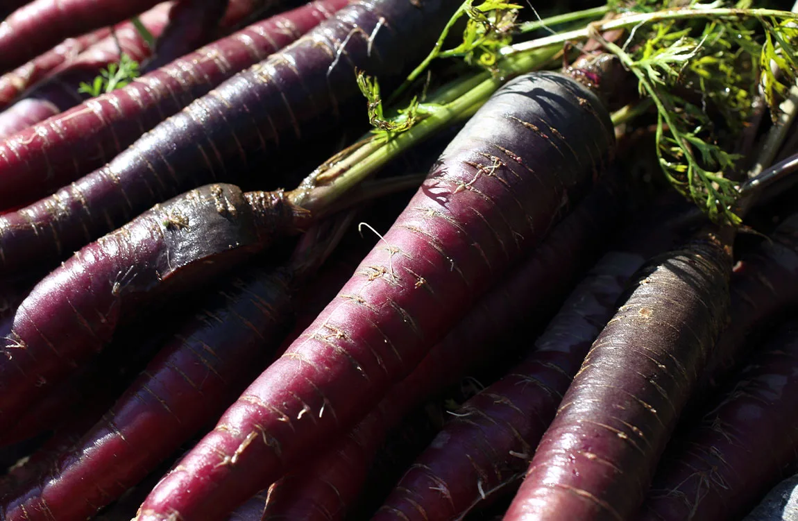 carrots