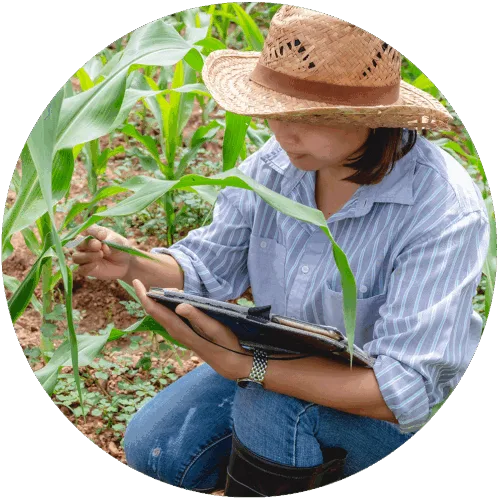 farmer