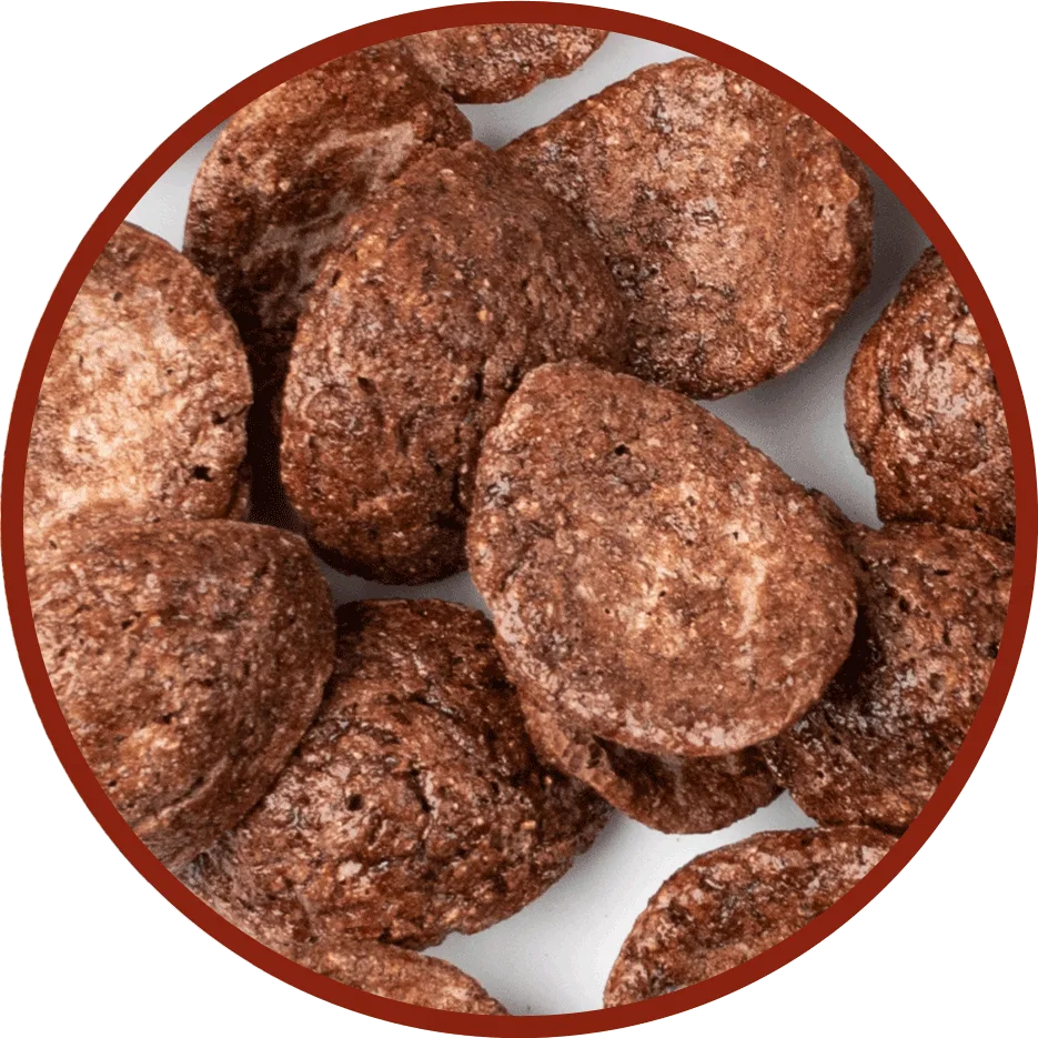 dog food