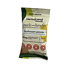 mushroom power