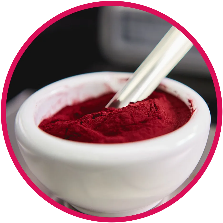 beet powder in bowl