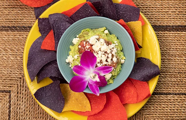 colored tortilla chips and guacamole