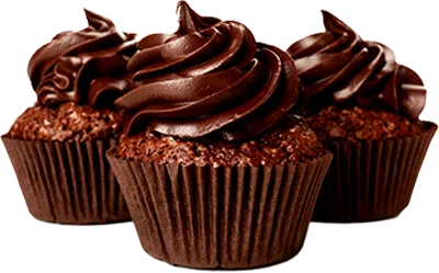 chocolate cupcakes