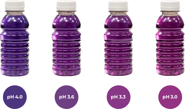 purple bottles