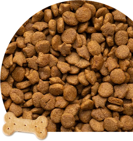 pet dry food