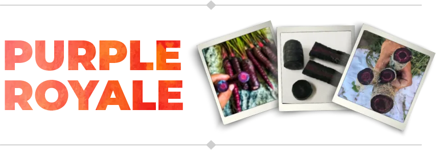 purple-royale