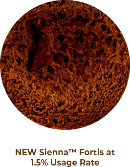 sienna fortis