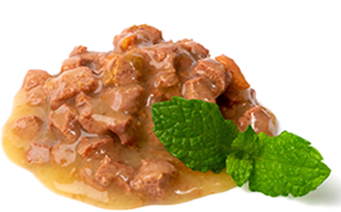 wet pet food