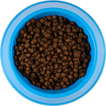 dark-shade-brown
