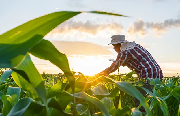 farmer in field