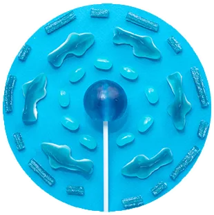 LA sensient blog july tendencia mascotas