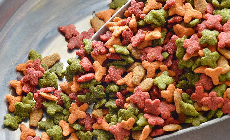 colorful pet kibble