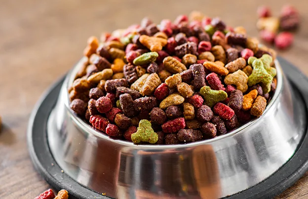 colorful kibble in bowl