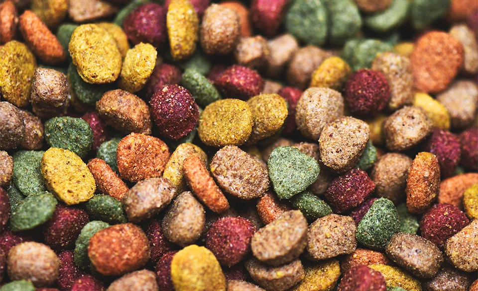 pet kibble