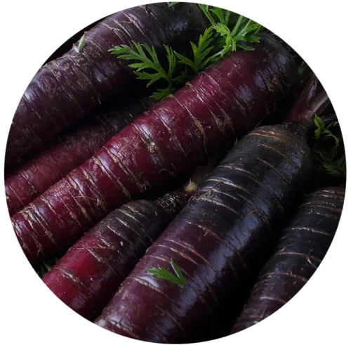 black carrots