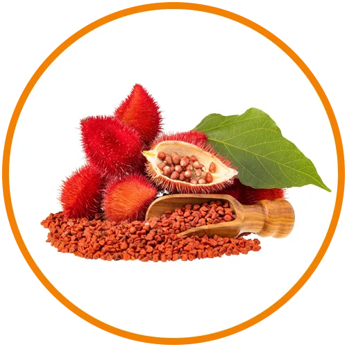 annatto seeds