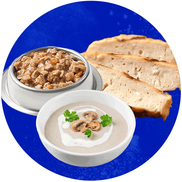 avalanche helio applications