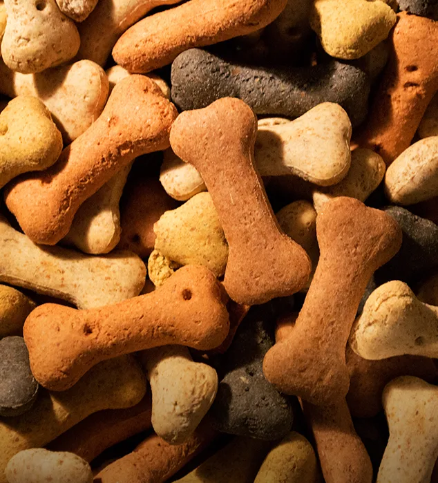 baked pet treats