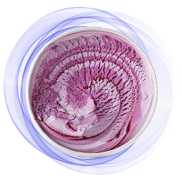 blueberry ice cream with variegates