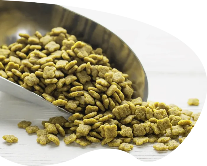 green pet kibble